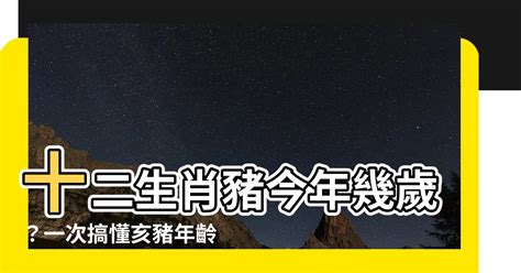 數豬|屬豬今年幾歲 豬年是民國西元哪幾年